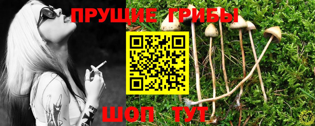 Псилоцибиновые грибы мухоморы  Вход с VPN  Лесозаводск  Галлюциногенные грибы GOLDEN TEACHER 